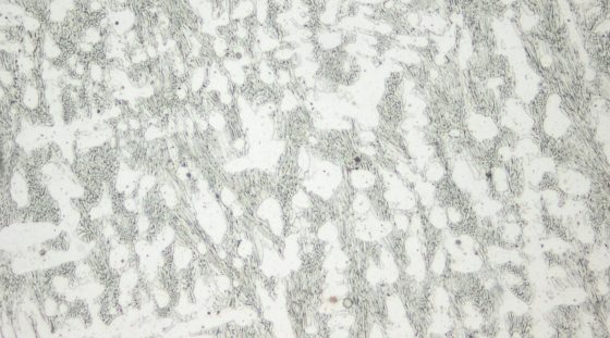 Typical microstructure VAUTID 100 C